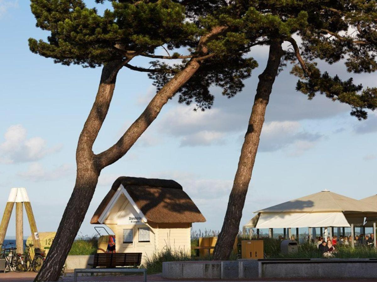 Altes Zollhaus Casa Sandstrand Scharbeutz Zewnętrze zdjęcie